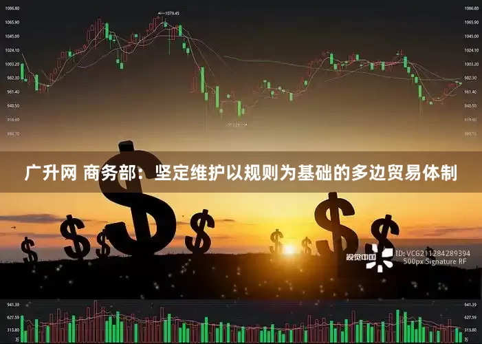 广升网 商务部：坚定维护以规则为基础的多边贸易体制