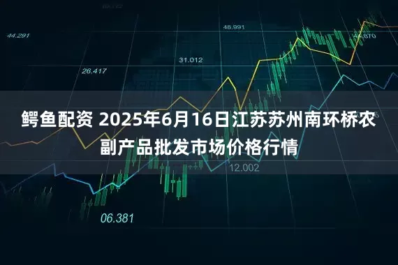 鳄鱼配资 2025年6月16日江苏苏州南环桥农副产品批发市场价格行情