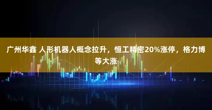 广州华鑫 人形机器人概念拉升，恒工精密20%涨停，格力博等大涨