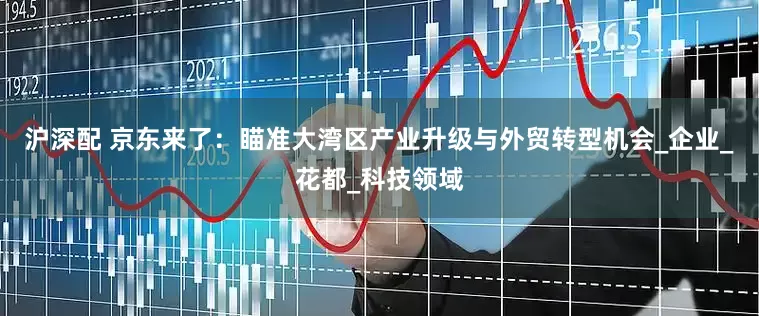 沪深配 京东来了：瞄准大湾区产业升级与外贸转型机会_企业_花都_科技领域