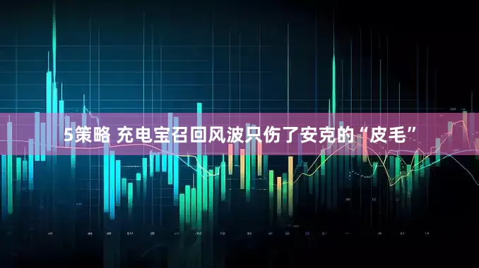 5策略 充电宝召回风波只伤了安克的“皮毛”